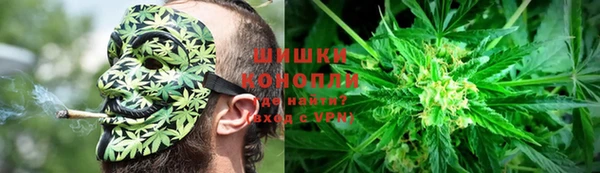 винт Аркадак